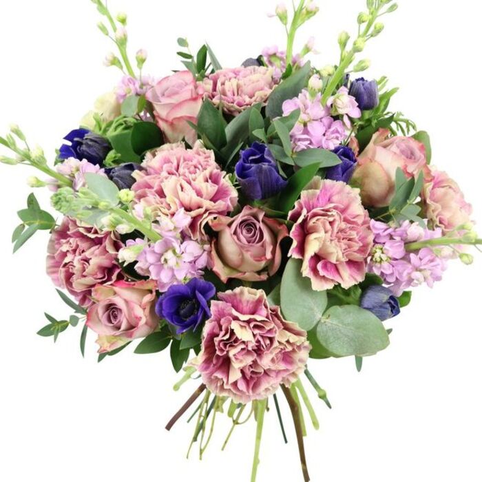 Captured against a simple white background, this bouquet feels both luxurious and natural, echoing the relaxed elegance of homes around Chiswick and the riverside. At its heart lie several garden roses in varying shades of blush, dusty mauve and antique rose, their many-petalled blooms forming a soft, romantic core. Surrounding them are plush carnations, their ruffled petals creating generous layers of texture; each flower moves from a creamy, almost parchment-like centre to gentle blush and, finally, to deeper rose and plum-pink at the fringed edges, giving the bouquet visual depth and warmth. Threaded through the pinks are deep indigo and royal blue accents: compact, tulip-like buds that punctuate the design, and a striking open blue anemone near the front with a dark centre, drawing attention like a calm focal point. Rising through the main body of the arrangement are slender stems of pale lilac and soft lavender stock, their many small blossoms clustering along each stem and adding an airy, vertical rhythm that lightens the overall shape. Encasing the blooms is a mixture of greenery, with dark, glossy leaves offering definition and rounded, silvery eucalyptus leaves contributing a cool, contemporary freshness, much like the crisp air along the pathways of nearby Chiswick House Gardens. The stems are clearly visible, bound neatly at the base to show the hand-tied workmanship and freshness, ready for same-day delivery across Chiswick and the surrounding neighbourhoods. The bouquet exudes a sense of calm celebration, equally fitting as a birthday gift, a thoughtful 'thinking of you' gesture, or a centrepiece for a relaxed weekend brunch at home.